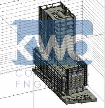 c n s model